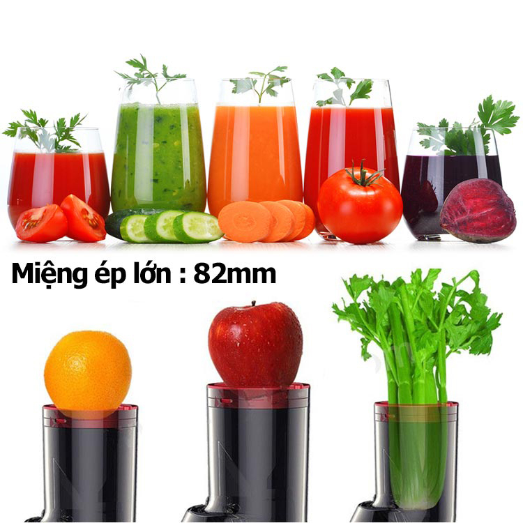 Máy Ép Chậm Công Nghiệp KAW K250, Công Suất 250W