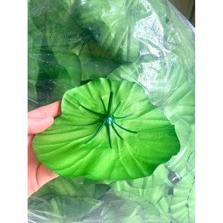 Lá sen nhựa 13*15cm