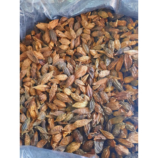 1 Kg Trái cứt quạ Khổ qua rừng