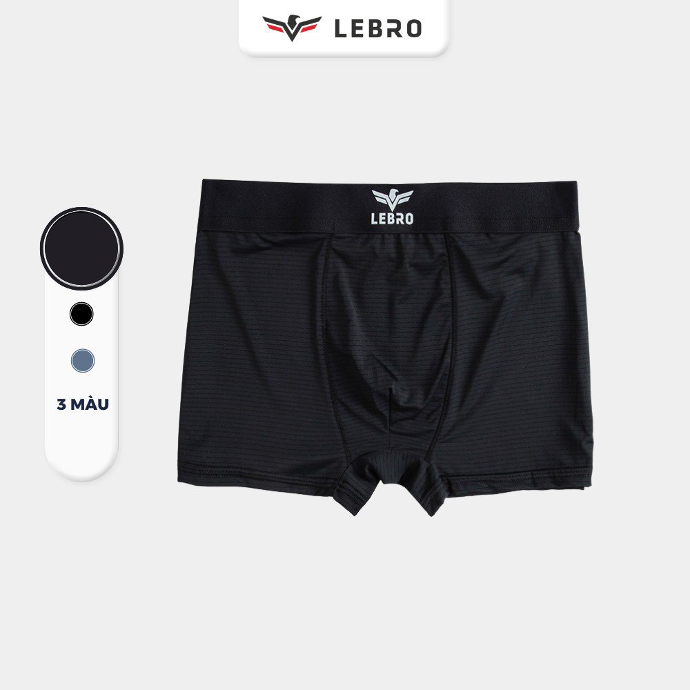 Combo 5 quần sịp boxer cao cấp thun lụa Icy LEBRO