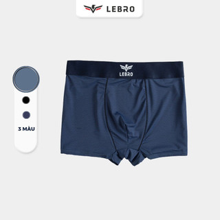 Combo 5 quần sịp boxer cao cấp thun lụa Icy LEBRO
