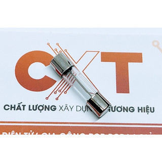 Cầu chì thủy tinh 20a 250v 5x20mm