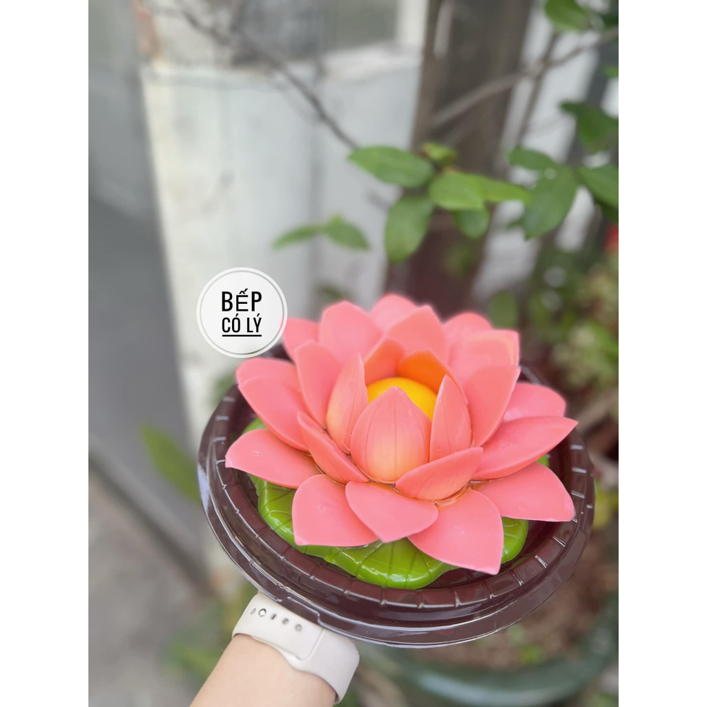 Khuôn Nhựa Ghép Hoa Sen Đài Sen Cánh Sen Làm Rau Cau 3D 4D