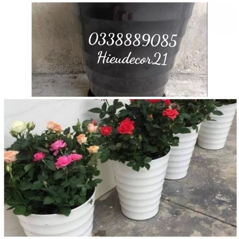 Chậu Nhựa Xoắn, Chậu Vòng Sóng, Chậu Tròn Dáng Cao, Màu Đen Siêu Dày Độ Bền Cao