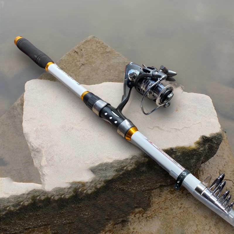 COMBO Cần Câu máy Nhật Bản Carbon PANGHEL Max Pro