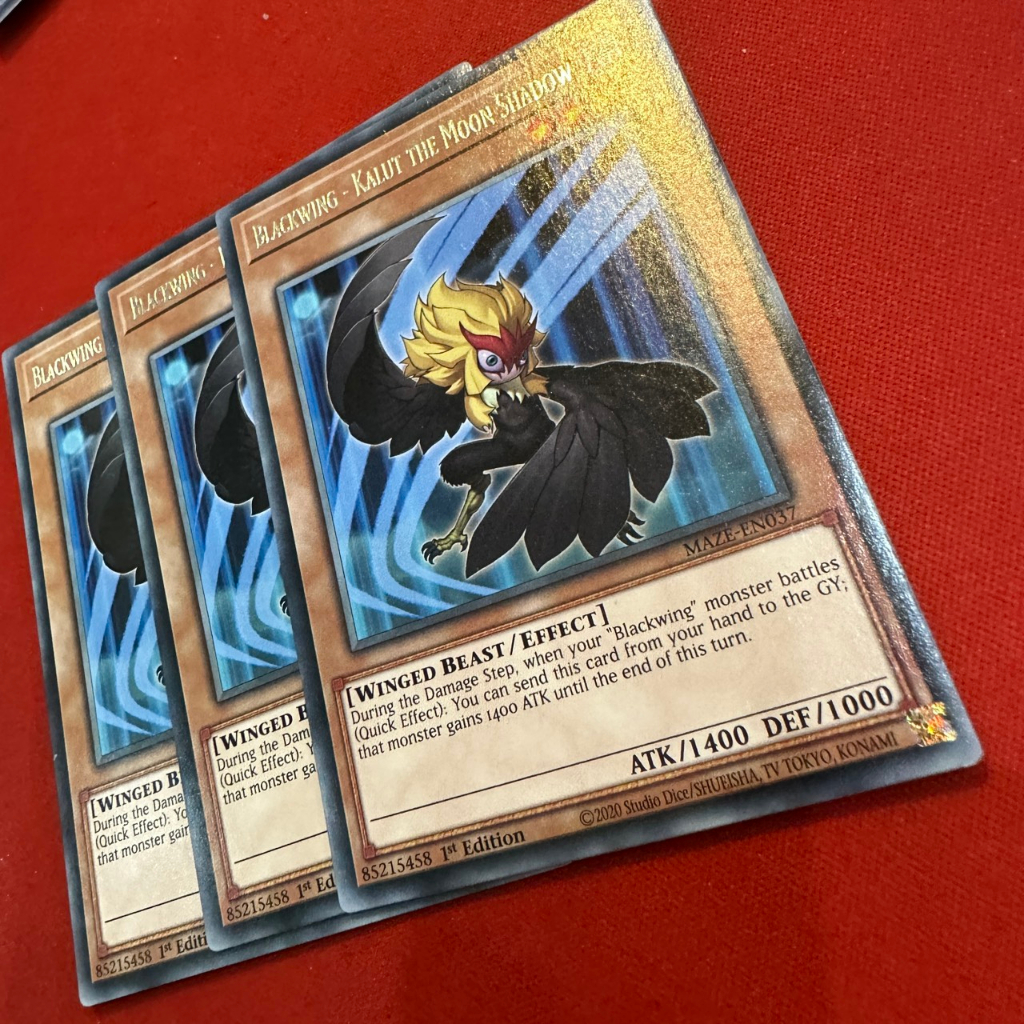 Blackwing - Kalut the Moon Shadow