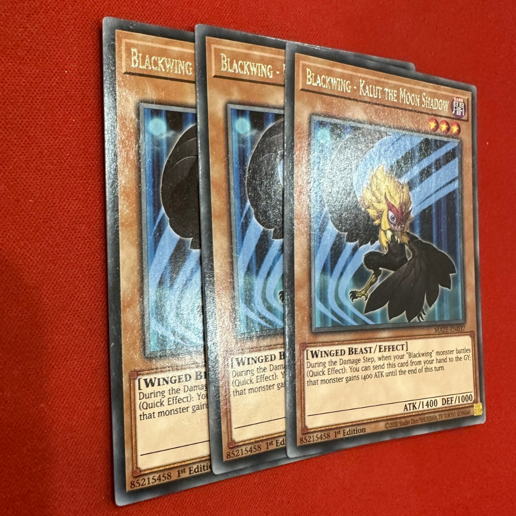 Blackwing - Kalut the Moon Shadow