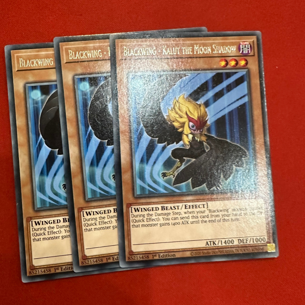 Blackwing - Kalut the Moon Shadow