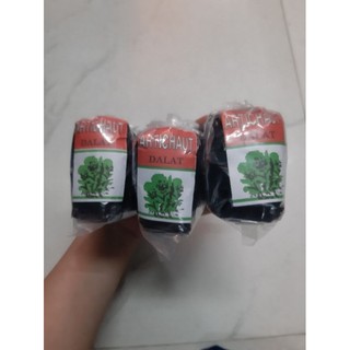 Cao atiso cô đặc nấu nước sâm