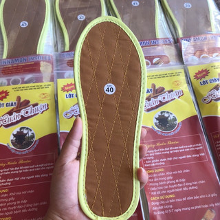 lót giầy nam nữ