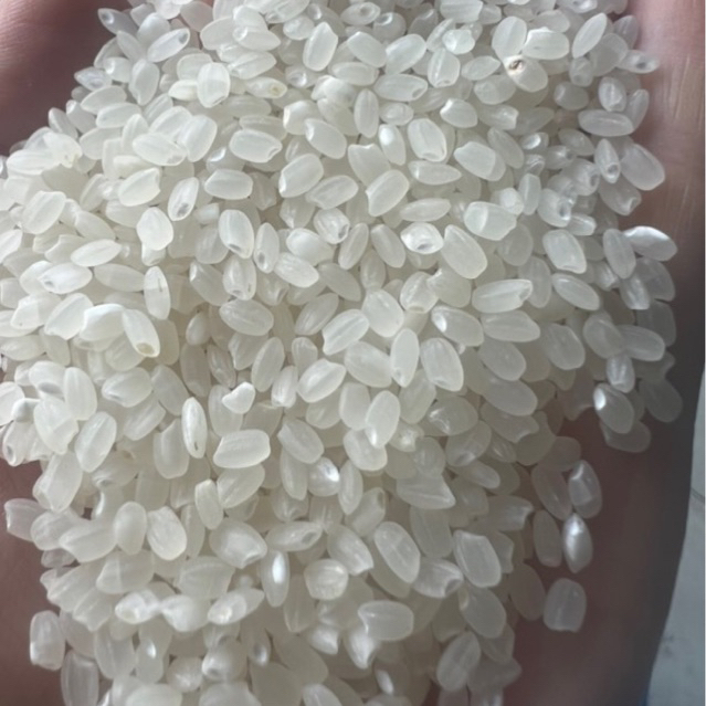 Bao 5kg Gạo Séng Cù Mường Khương hạt tròn