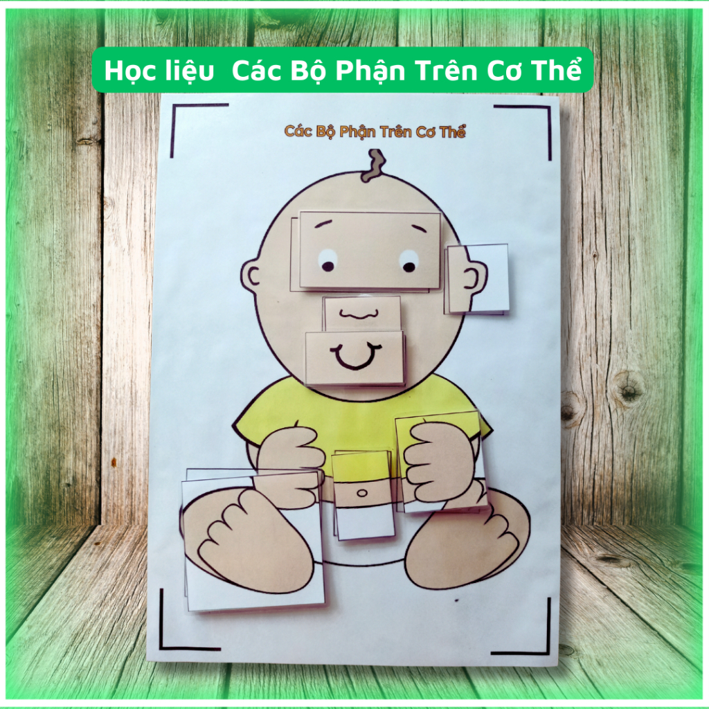 Học Liệu Bộ Phận Trên Cơ Thể Người - Học Liệu Tương Tác - Học Liệu Bóc Dán