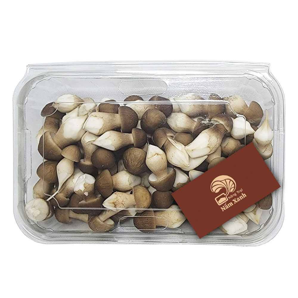 Nấm Mối Đen Baby Tươi 100gr 200gr Hình Dáng Nhỏ Nhắn Giàu Dinh Dưỡng - Nấm Xanh