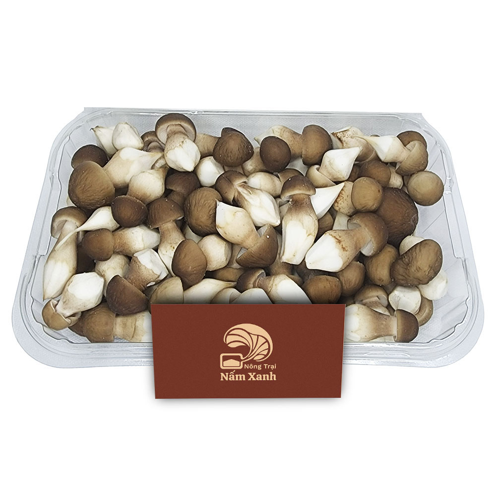 Nấm Mối Đen Baby Tươi 100gr 200gr Hình Dáng Nhỏ Nhắn Giàu Dinh Dưỡng - Nấm Xanh