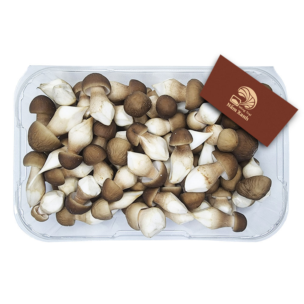 Nấm Mối Đen Baby Tươi 100gr 200gr Hình Dáng Nhỏ Nhắn Giàu Dinh Dưỡng - Nấm Xanh