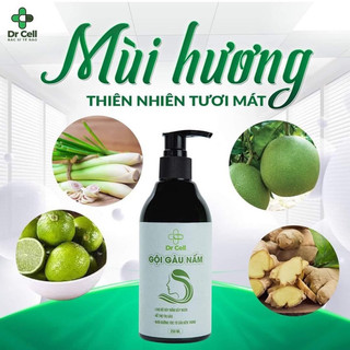 Dầu Gội Nấm Dr Cell