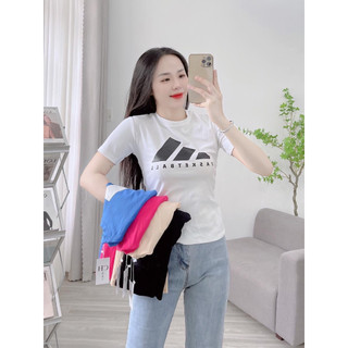 Áo thun cổ tròn tay ngắn