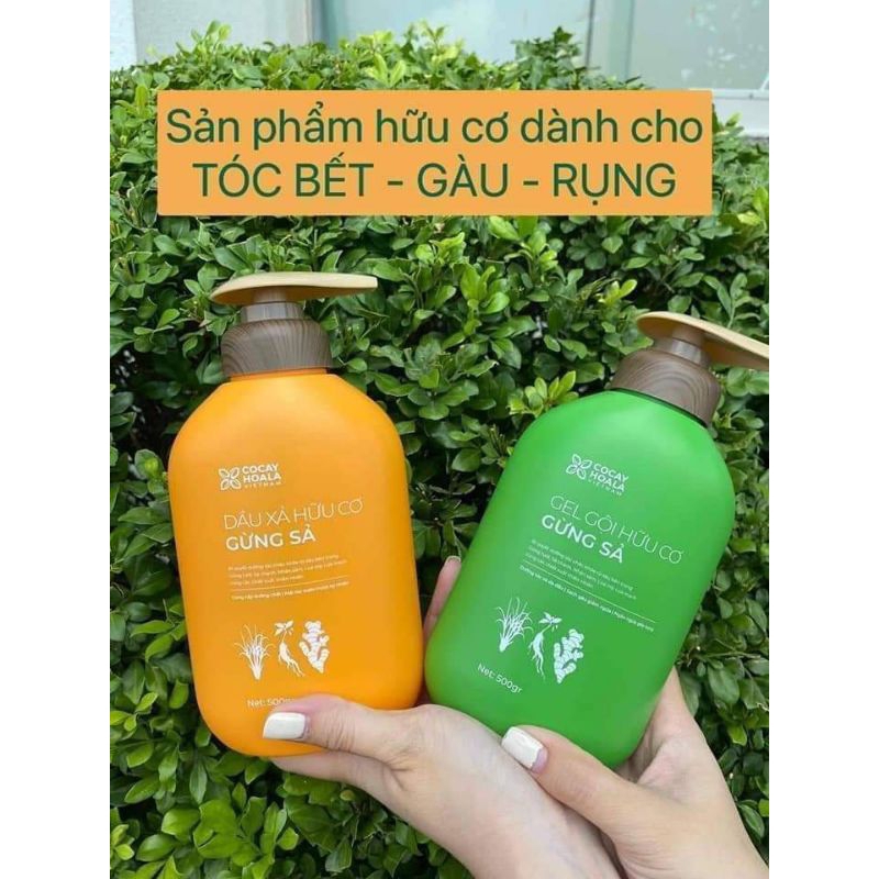 ComBo Gel Gội Và Dầu Xả Gừng Sả Hữu Cơ Cỏ Cây Hoa Lá - Ngăn Dầu Bết Tóc ,Sạch Gàu, Hết Ngứa,Ngăn Tóc Gãy Rụng.
