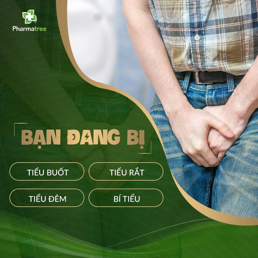 ThanhThận Pharmatree hộp 30 viên giảm uống tiểu đêm, tiểu buốt, tiểu nhiều lần,nguy cơ hình thành sỏi thận