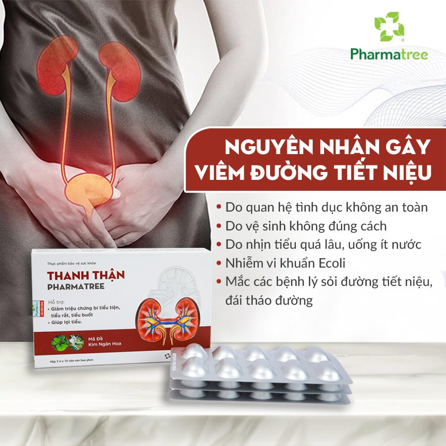 ThanhThận Pharmatree hộp 30 viên giảm uống tiểu đêm, tiểu buốt, tiểu nhiều lần,nguy cơ hình thành sỏi thận