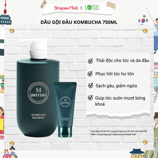 Dầu gội đầu giảm gàu, ngăn gãy rụng phục hồi tóc hư tổn BRITISH M Kombucha Shampoo