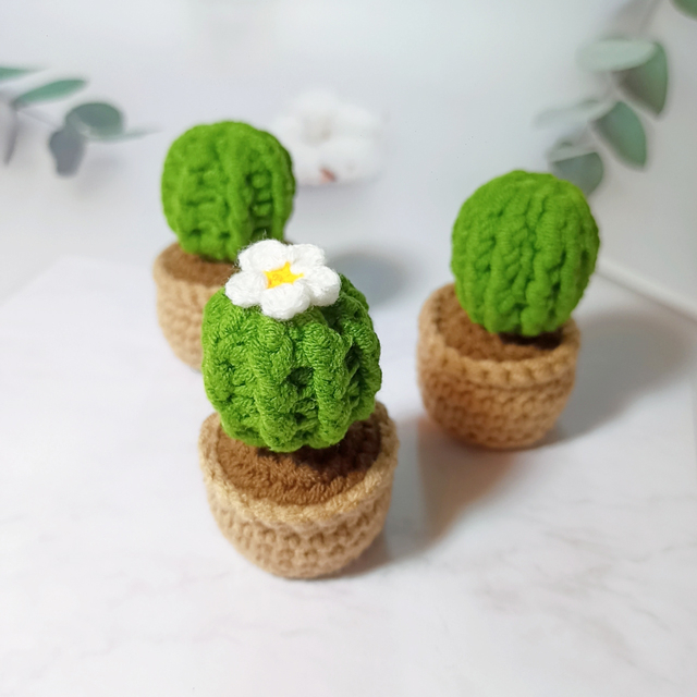 Chậu cây xương rồng mini bằng len trang trí bàn học, bàn làm việc - Cactus Crochet Handmade