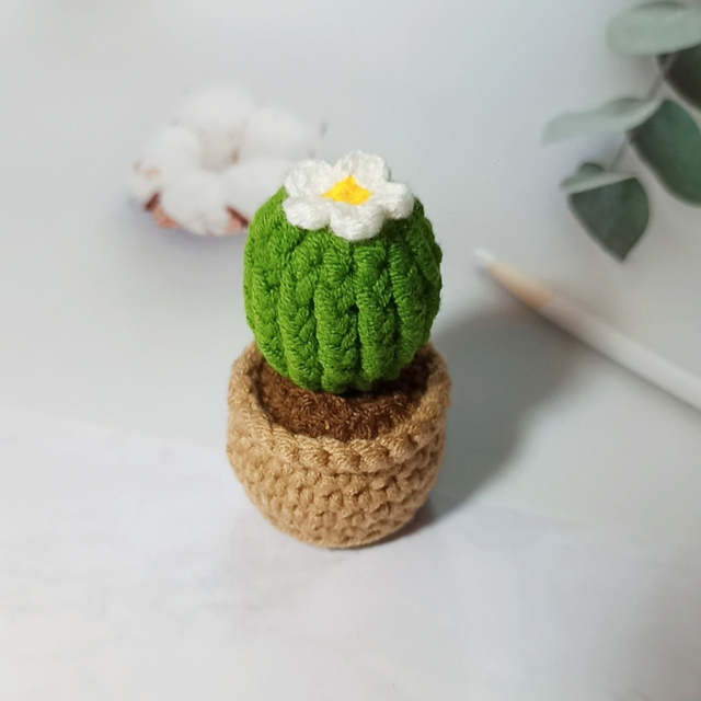 Chậu cây xương rồng mini bằng len trang trí bàn học, bàn làm việc - Cactus Crochet Handmade