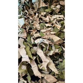 Lá sen khô (túi 500g)- Trà lá sen