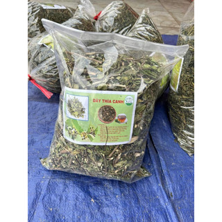 Dây thìa canh - thần dược cho người bị tiểu đường