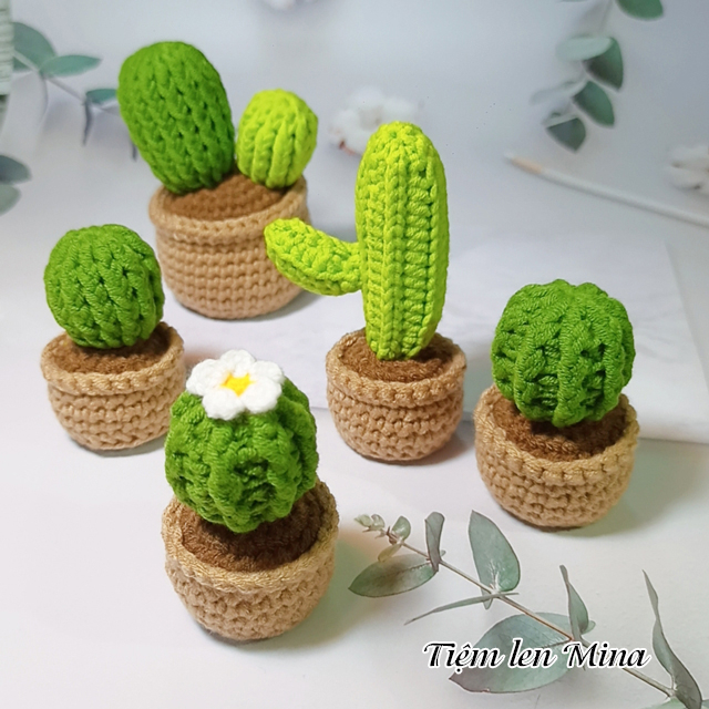 Chậu cây xương rồng mini bằng len trang trí bàn học, bàn làm việc - Cactus Crochet Handmade