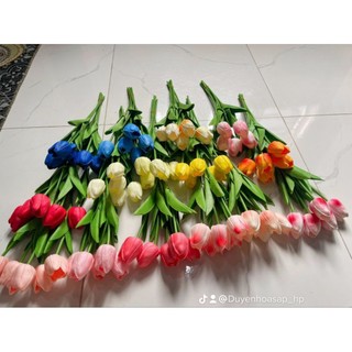Hoa tulip cao su