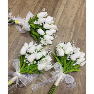 Hoa tulip cao su