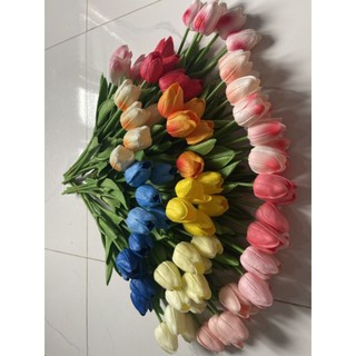 Hoa tulip cao su