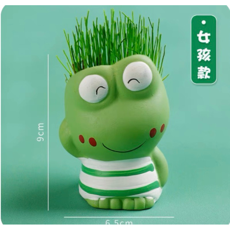 Cỏ Búp Bê Phun Nước Tự Mọc | Búp Bê Cỏ Mini Nhiều Mẫu Dễ Trồng Trang Trí Bàn Làm Việc Giúp Giảm Stress