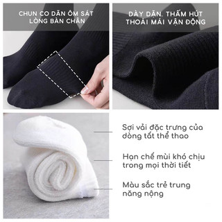 1 Đôi Tất Cổ Cao 21Cm [FREESHIP]