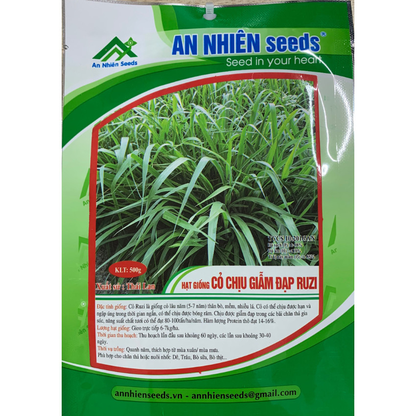 Hạt giống cỏ chăn nuối CHỊU GIẪM ĐẠP RUZI. Xuất xứ Thái Lan. Thân bò, mềm, nhiều lá, chịu hạn ngập úng thời gian dài