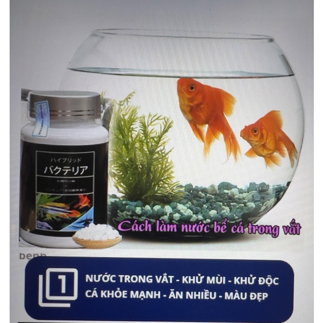 Aquarista Nhật Bản - vi sinh viên nén làm trong nước cho cá cảnh