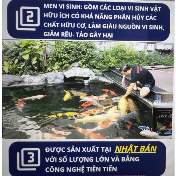 Aquarista Nhật Bản - vi sinh viên nén làm trong nước cho cá cảnh