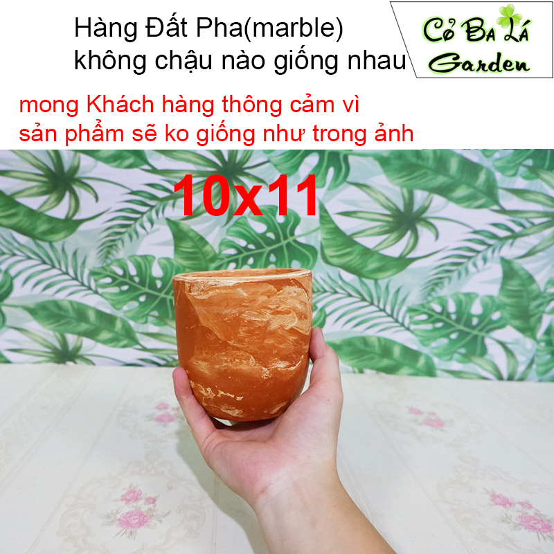 Chậu đất nung trứng Loang, bộ 3 chậu , phù hợp trồng sen đá xương rồng