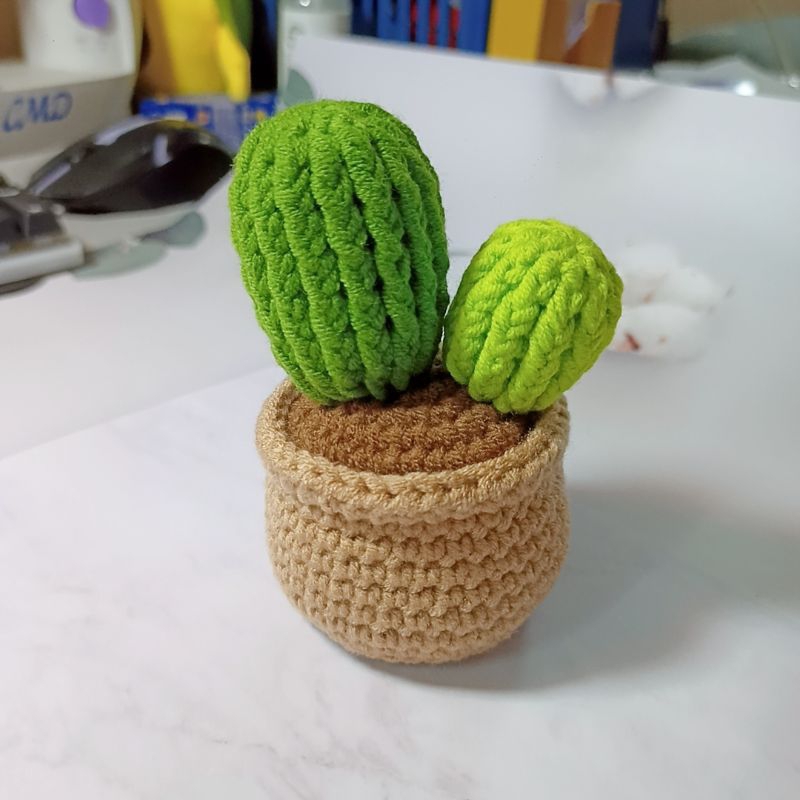 Chậu xương rồng len móc thủ công - Chậu 2 cây