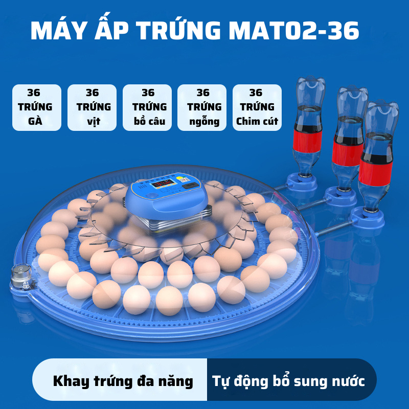 Máy ấp trứng gà mini thông minh Dương Ninh tự đảo hiện đại MAT71