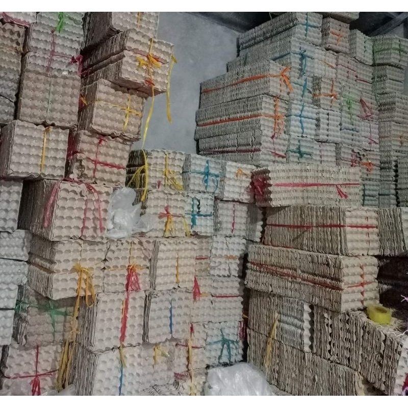 10 Vỉ trứng giấy dùng nuôi dế, gián, nhện...