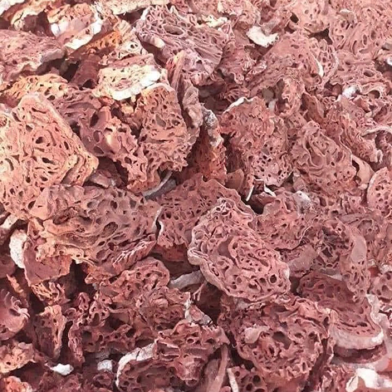1kg BÍ KỲ NAM loại 1 sạch- cơ sở dược liệu Thảo An