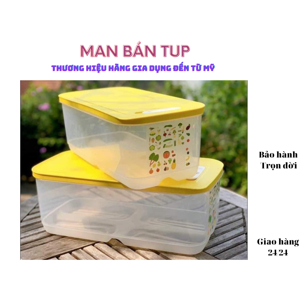 Hộp bảo quản TP Tupperware, Vent 6.1 lít (01 hộp); có nút hô hấp, đựng và bảo quản nhiều loại thực phẩm khác nhau