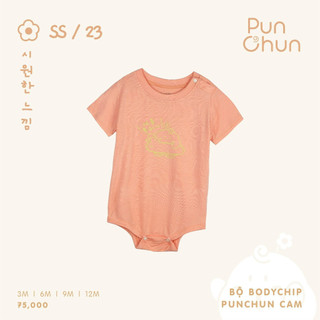 Punchun Bộ body chip SS2023D04