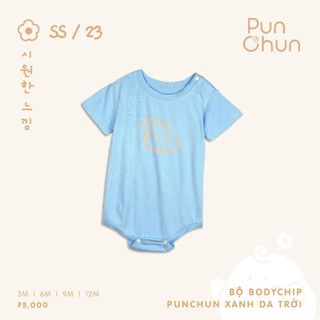 Punchun Bộ body chip SS2023D04