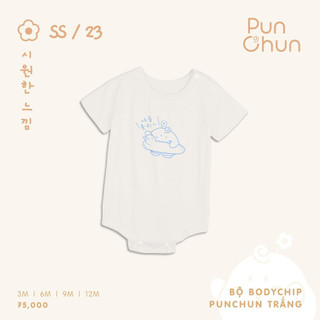 Punchun Bộ body chip SS2023D04