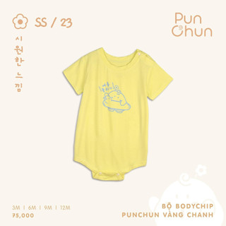 Punchun Bộ body chip SS2023D04