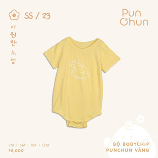 Punchun Bộ body chip SS2023D04