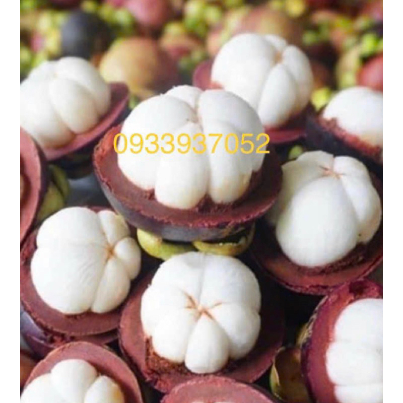 Quả măng cụt chín 1kg